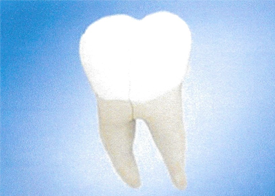 Teeth Trauma: It's a Sensitive Issue