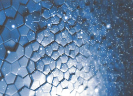 Teeth Trauma: It's a Sensitive Issue